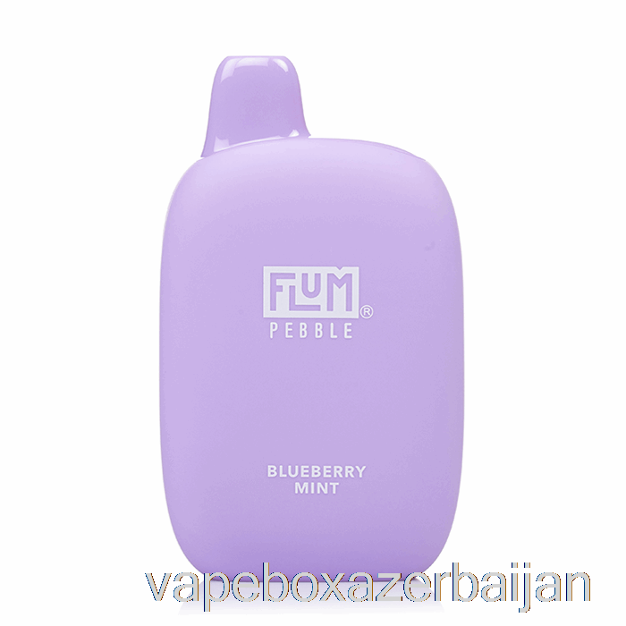 E-Juice Vape Flum Pebble 6000 Disposable Blueberry Mint
